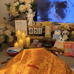 宠物家长客户见证